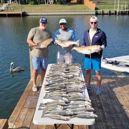 Redfish Fishing in New Orleans, Louisiana