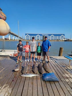 Blacktip Shark Fishing in Freeport, Texas