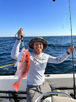 Red Snapper Fishing in Jacksonville, Florida