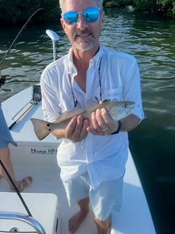 Snook Fishing in Islamorada, Florida