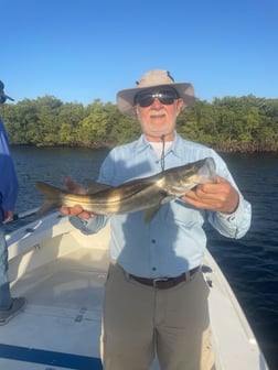 Speckled Trout / Spotted Seatrout Fishing in Tampa, Florida