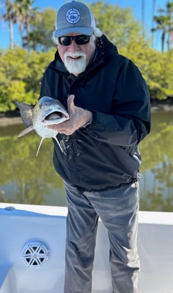 Snook Fishing in Tampa, Florida