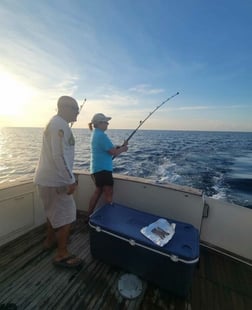 Swordfish Fishing in Pompano Beach, Florida