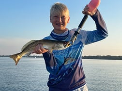 Speckled Trout Fishing in Sarasota, Florida