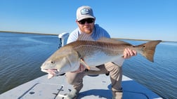 Redfish Fishing in Golden Meadow, Louisiana