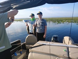 Largemouth Bass Fishing in Kissimmee, Florida