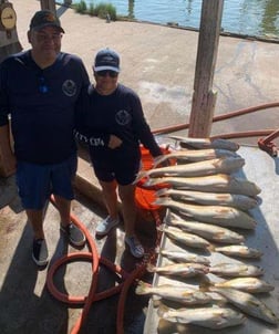 Bream, Redfish, Speckled Trout / Spotted Seatrout fishing in Dickinson, Texas