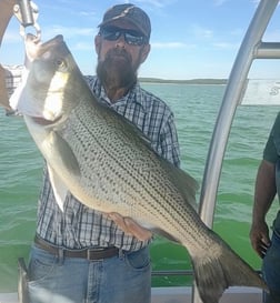 Hybrid Striped Bass Fishing in Runaway Bay, Texas