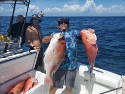 King Mackerel / Kingfish, Redfish fishing in Port Orange, Florida