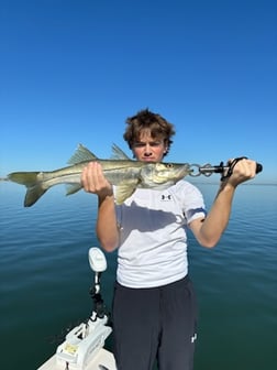 Fishing in Sarasota, Florida