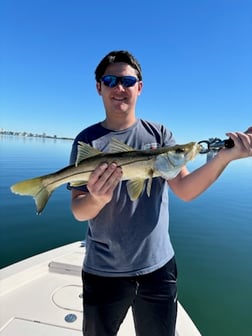 Fishing in Sarasota, Florida