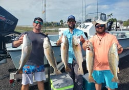 Fishing in Corpus Christi, Texas