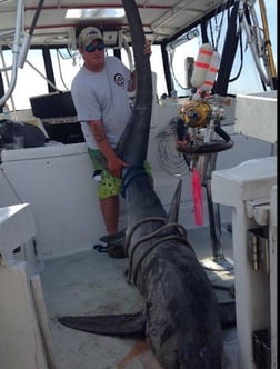 Thresher Shark Fishing in Freeport, New York, USA