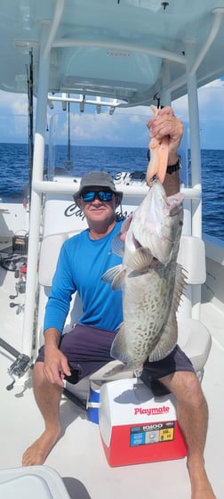 Gag Grouper fishing in Panama City, Florida