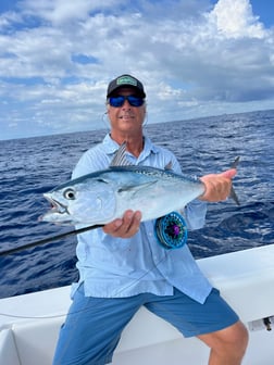 Jack Crevalle Fishing in Jupiter, Florida