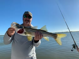 Snook Fishing in Key Largo, Florida