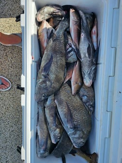 Fishing in Port O'Connor, Texas