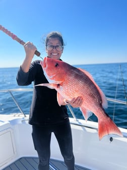 Red Snapper, Scamp Grouper, Scup / Porgy, Triggerfish Fishing in Destin, Florida