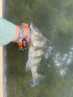 Fishing in Aransas Pass, Texas