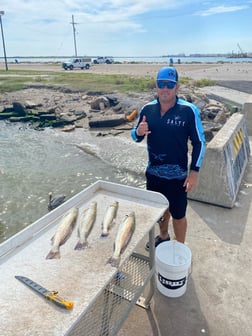 Redfish, Speckled Trout / Spotted Seatrout Fishing in Texas City, Texas