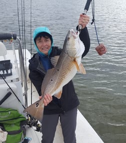 Speckled Trout / Spotted Seatrout Fishing in Fairfield, North Carolina