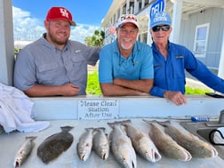 Flounder, Redfish, Speckled Trout / Spotted Seatrout fishing in Galveston, Texas