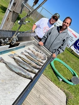 Speckled Trout Fishing in Galveston, Texas