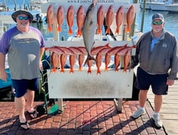 Red Snapper, Scamp Grouper, Scup / Porgy, Triggerfish Fishing in Destin, Florida