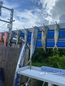 Fishing in Destin, Florida