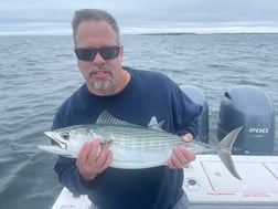 Bonito fishing in Chatham, Massachusetts