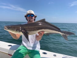 Cobia fishing in Virginia Beach, Virginia