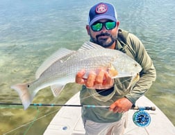 Bonefish fishing in Tavernier, Florida