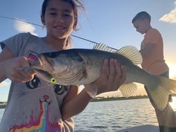 Tarpon Fishing in Jupiter, Florida