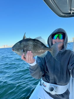 Fishing in Panama City, Florida