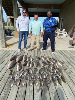 Speckled Trout / Spotted Seatrout Fishing in Venice, Louisiana