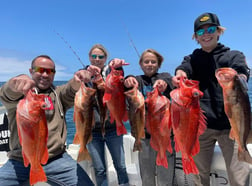 Rockfish Fishing in San Diego, California