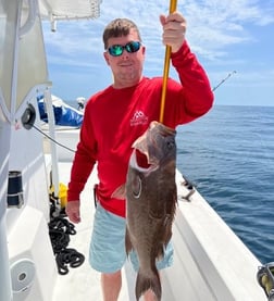 Snowy Grouper Fishing in Gulf Shores, Alabama