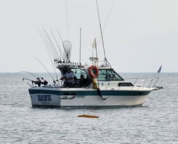 Fishing in Verona Beach, New York