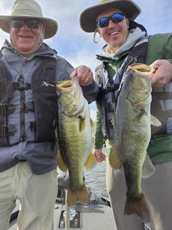 Largemouth Bass Fishing in Fort Lauderdale, Florida