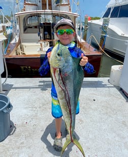 Mahi Mahi / Dorado fishing in Islamorada, Florida