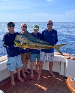 Mahi Mahi / Dorado fishing in Cabo San Lucas, Baja California Sur