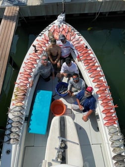 Cubera Snapper Fishing in Clearwater, Florida