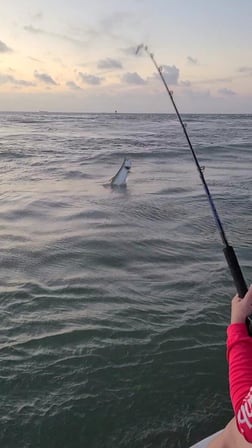 Tarpon fishing in Port O'Connor, Texas