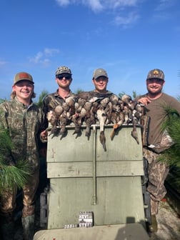 Hunting in Wrightsville Beach, North Carolina