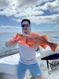 Fishing in San Diego, California