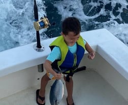 False Albacore Fishing in Pompano Beach, Florida