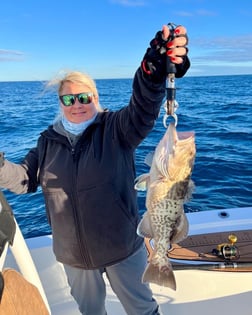 Gag Grouper Fishing in Little River, South Carolina