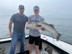 Striped Bass Fishing in Montauk, New York