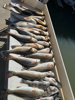 Fishing in Port O'Connor, Texas