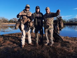 Black Duck Hunting in Bowie, Texas